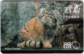 Билеты, талоны, карты для проезда в транспорте