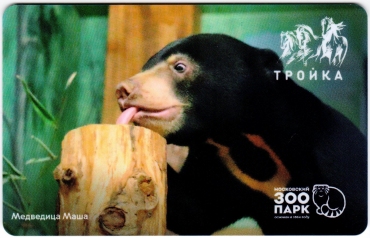 Билеты, талоны, карты для проезда в транспорте