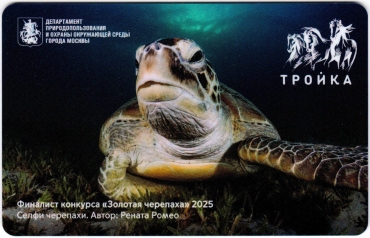 Билеты, талоны, карты для проезда в транспорте