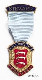 Знак RMIB 1985. STEWARD ROYAL MASONIC INSTITUTION FOR BOYS.  – Королевский Масонский институт для мальчиков.