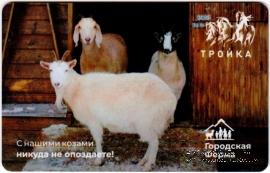 Карта 